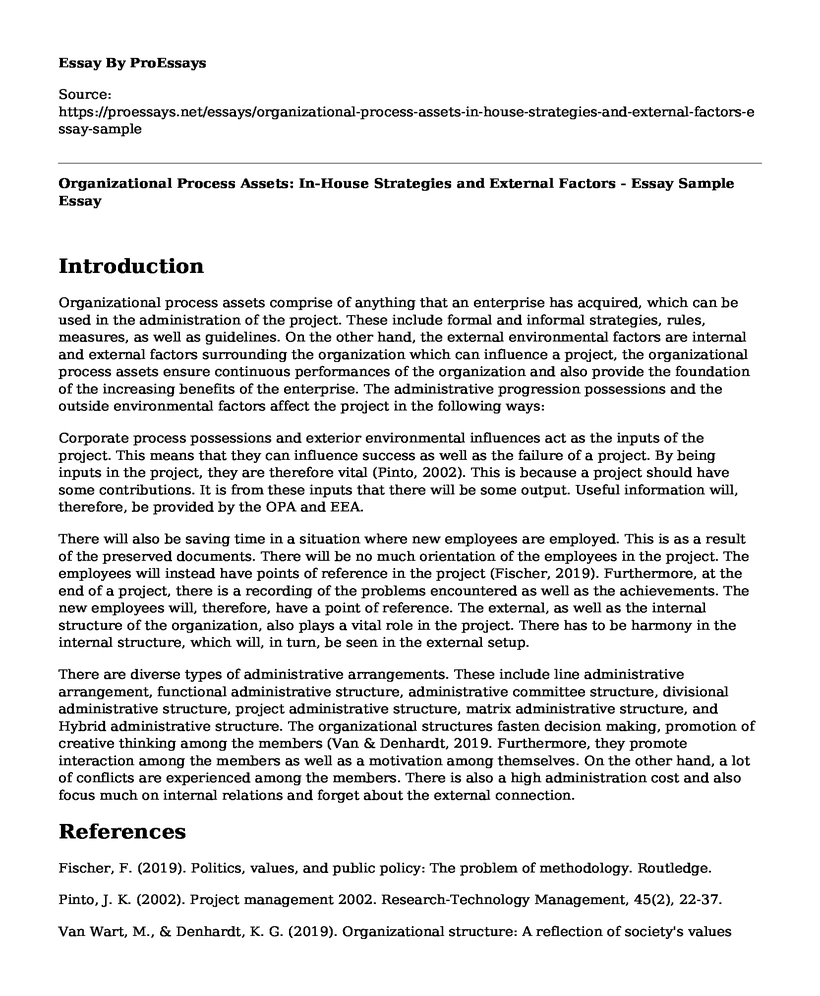 Organizational Process Assets: In-House Strategies and External Factors - Essay Sample