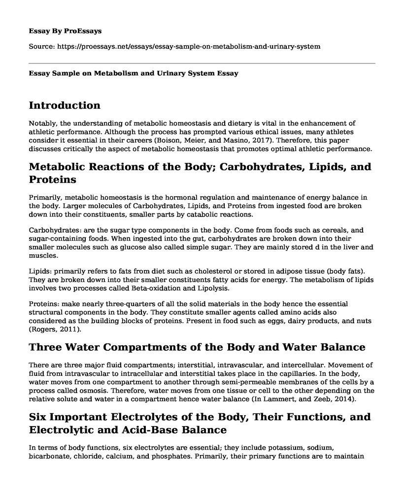 Essay Sample on Metabolism and Urinary System