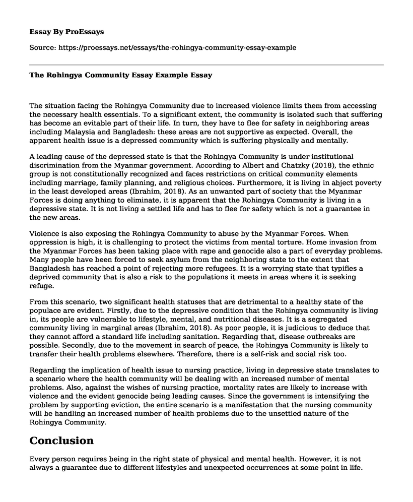 The Rohingya Community Essay Example
