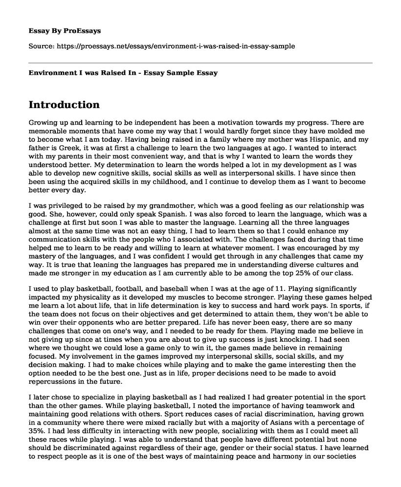 Environment I was Raised In - Essay Sample
