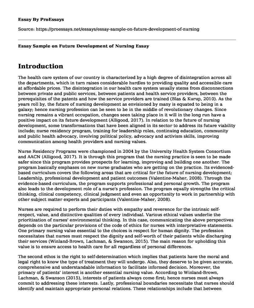 Essay Sample on Future Development of Nursing
