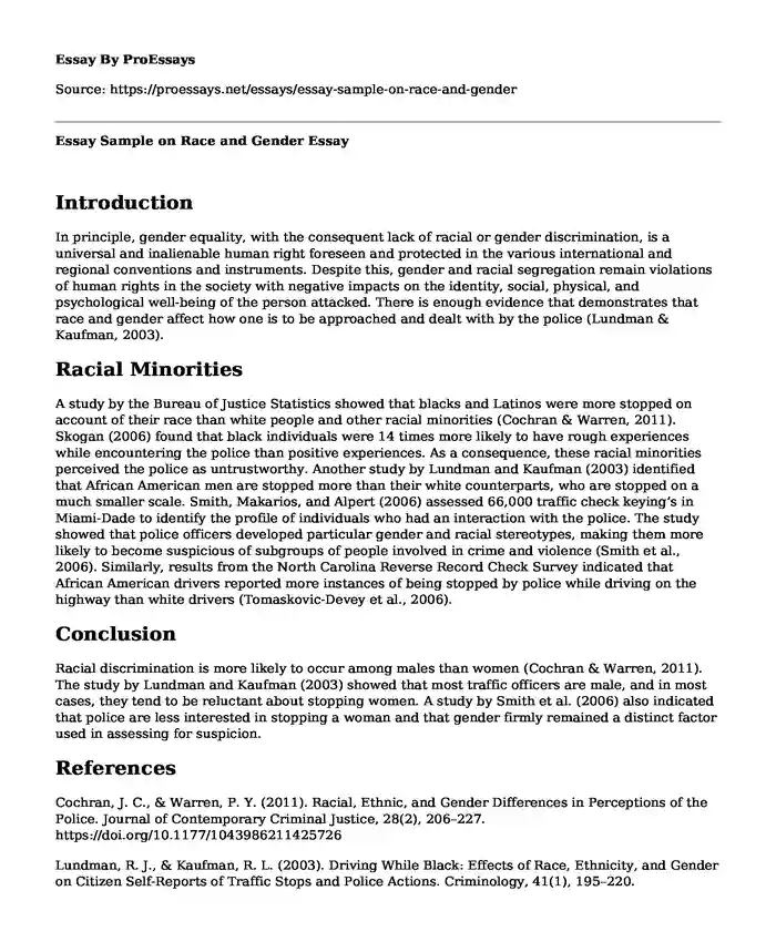 Essay Sample on Race and Gender 