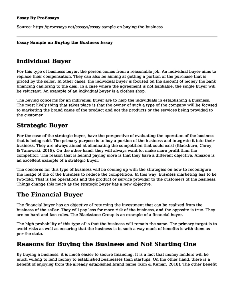 Essay Sample on Buying the Business