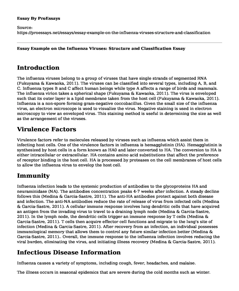 Essay Example on the Influenza Viruses: Structure and Classification