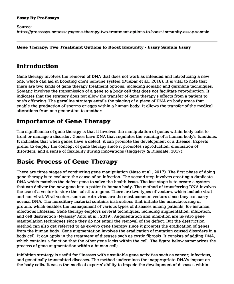 Gene Therapy: Two Treatment Options to Boost Immunity - Essay Sample