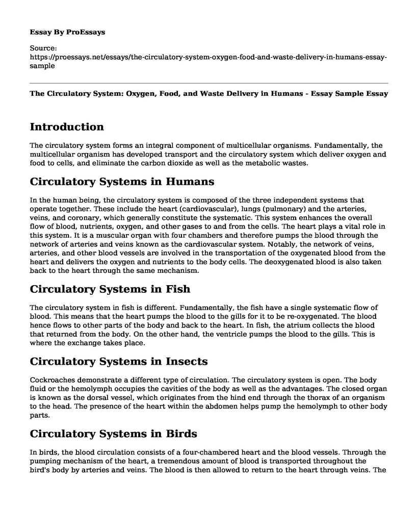 The Circulatory System: Oxygen, Food, and Waste Delivery in Humans - Essay Sample