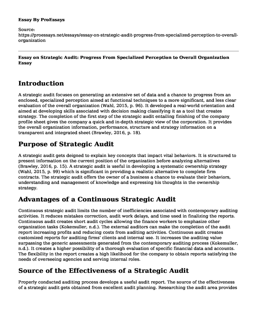 Essay on Strategic Audit: Progress From Specialized Perception to Overall Organization