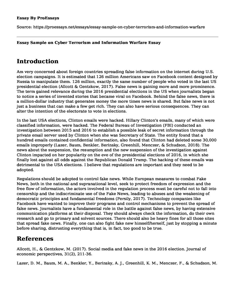 Essay Sample on Cyber Terrorism and Information Warfare