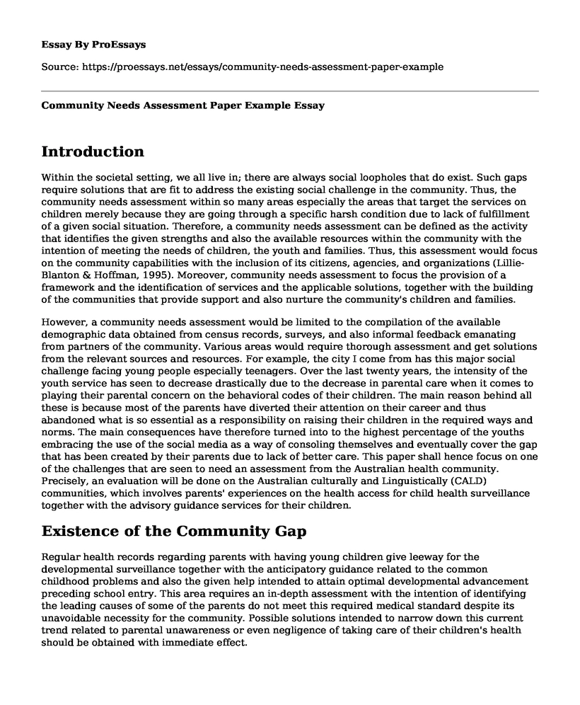 Community Needs Assessment Paper Example