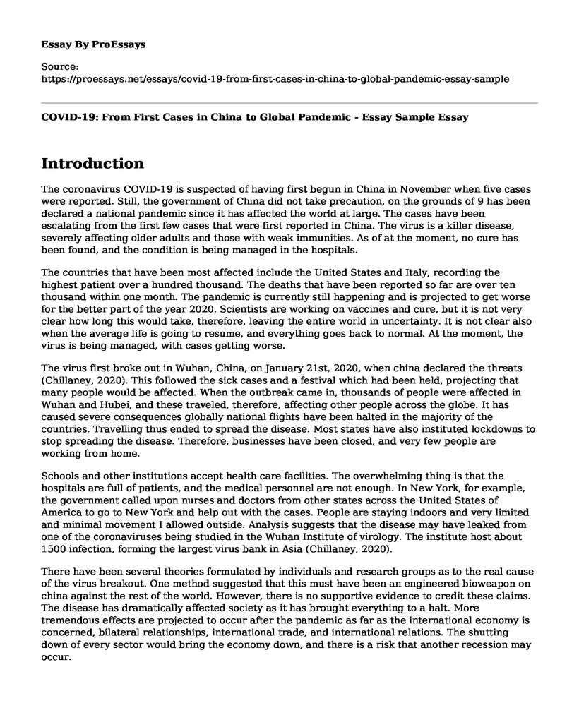 COVID-19: From First Cases in China to Global Pandemic - Essay Sample