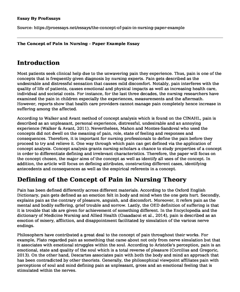 The Concept of Pain in Nursing - Paper Example