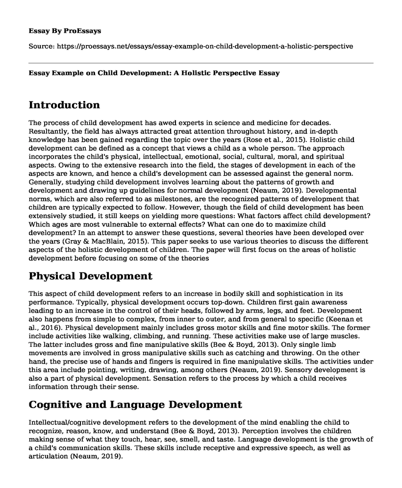 Essay Example on Child Development: A Holistic Perspective