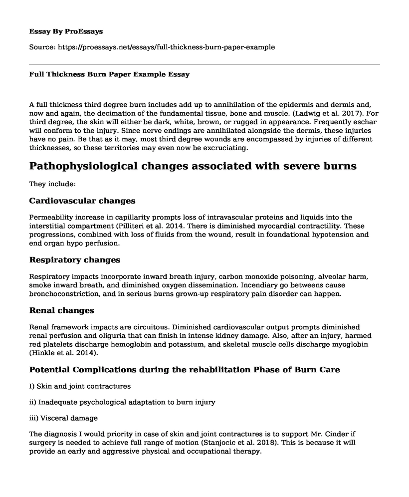 Full Thickness Burn Paper Example