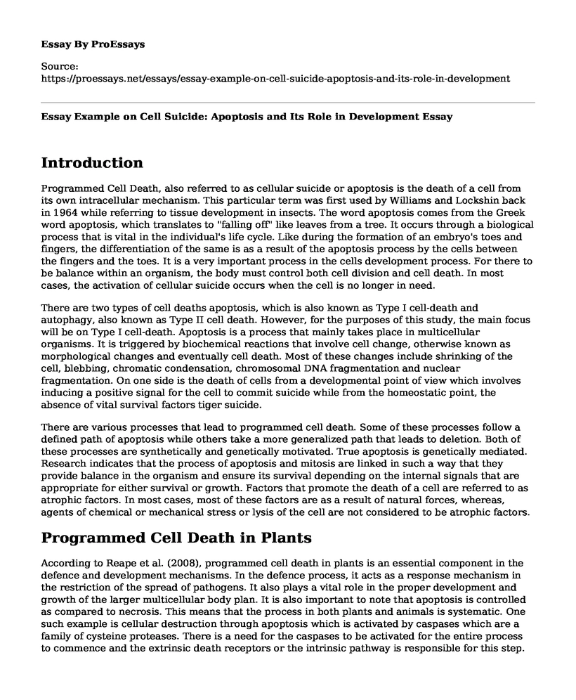 Essay Example on Cell Suicide: Apoptosis and Its Role in Development