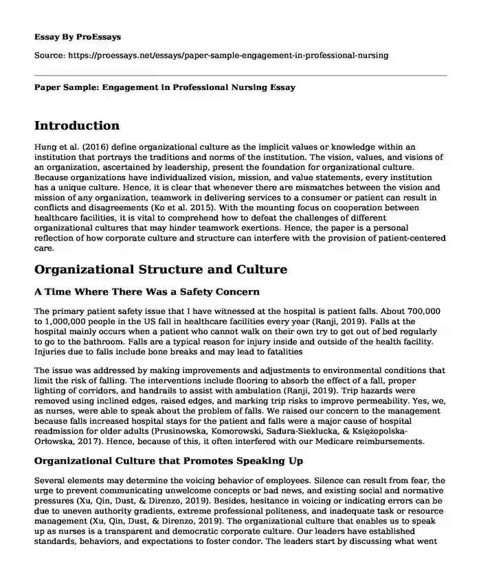 Paper Sample: Engagement in Professional Nursing