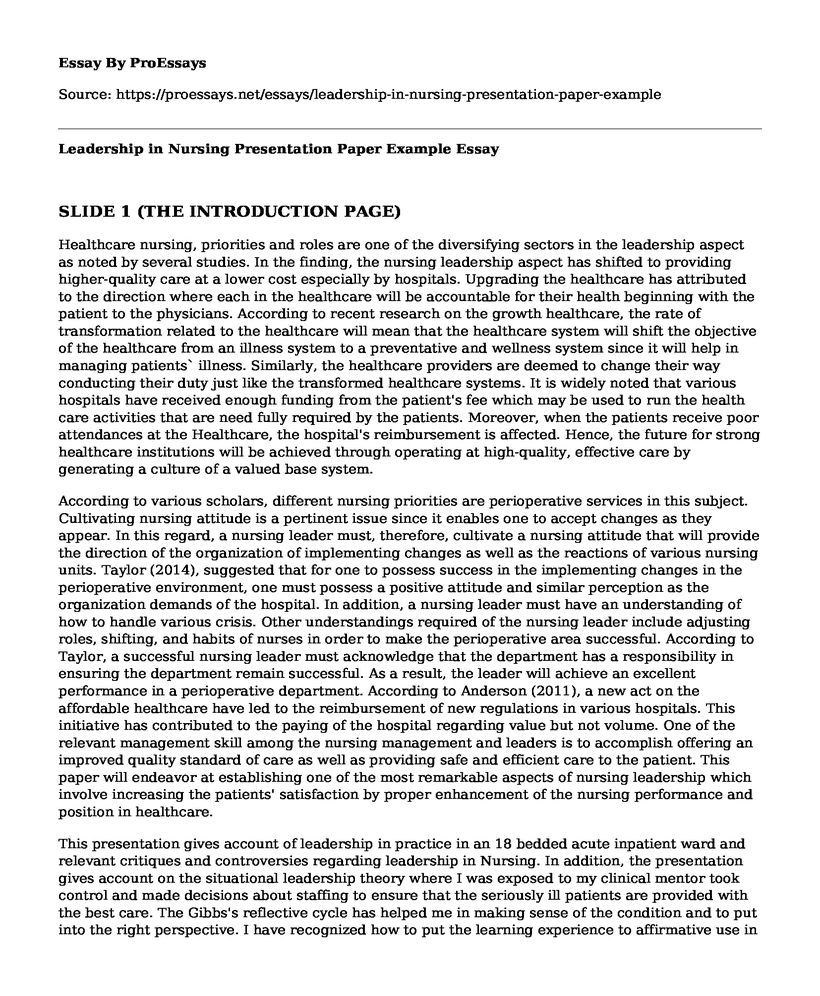 Leadership in Nursing Presentation Paper Example