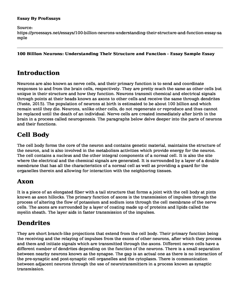 100 Billion Neurons: Understanding Their Structure and Function - Essay Sample