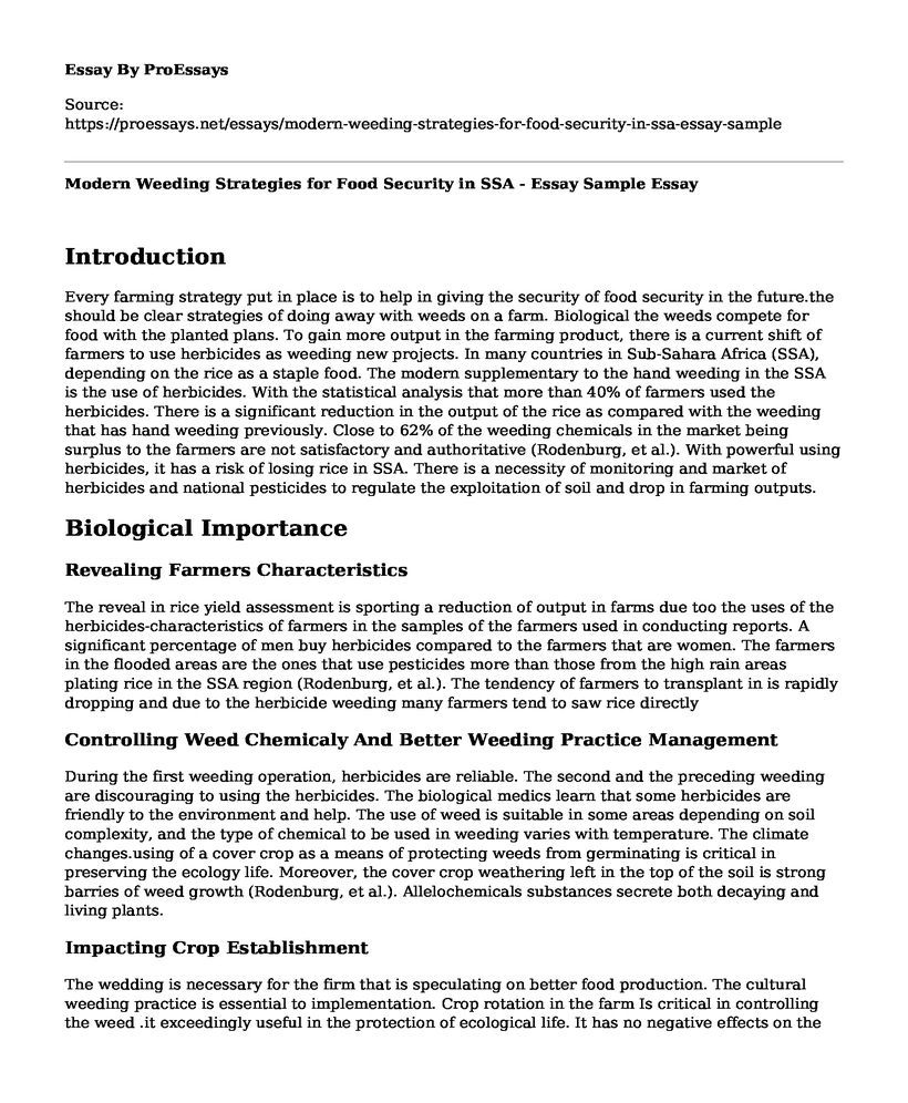 Modern Weeding Strategies for Food Security in SSA - Essay Sample