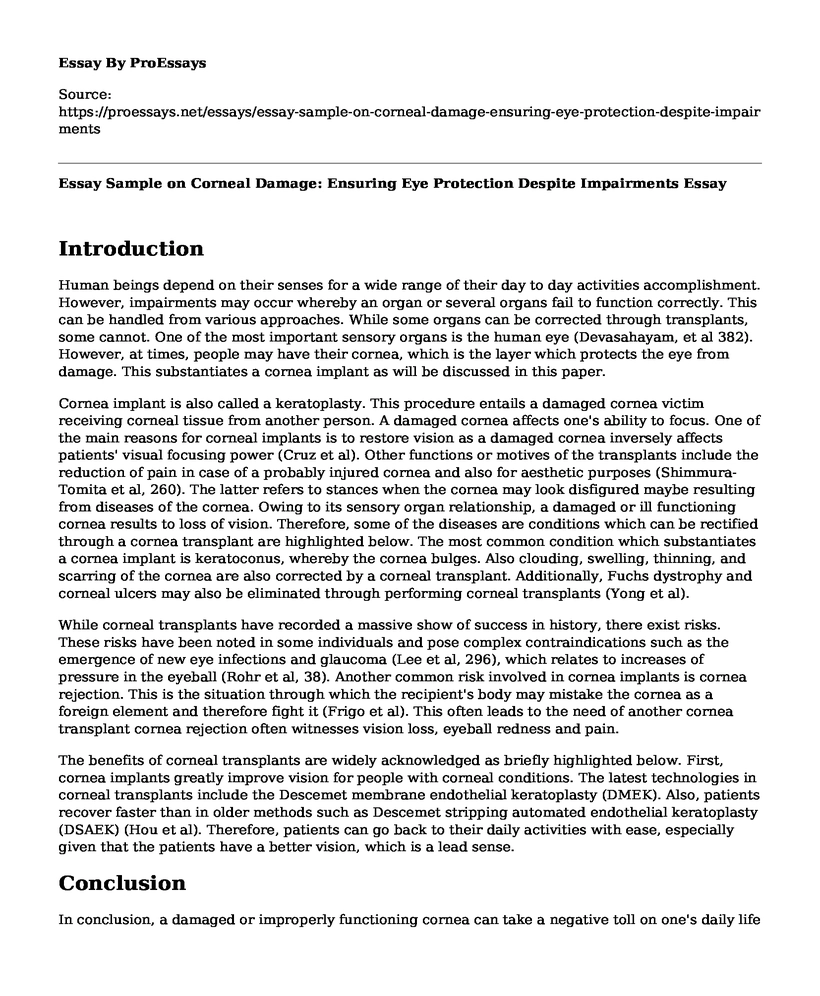 Essay Sample on Corneal Damage: Ensuring Eye Protection Despite Impairments