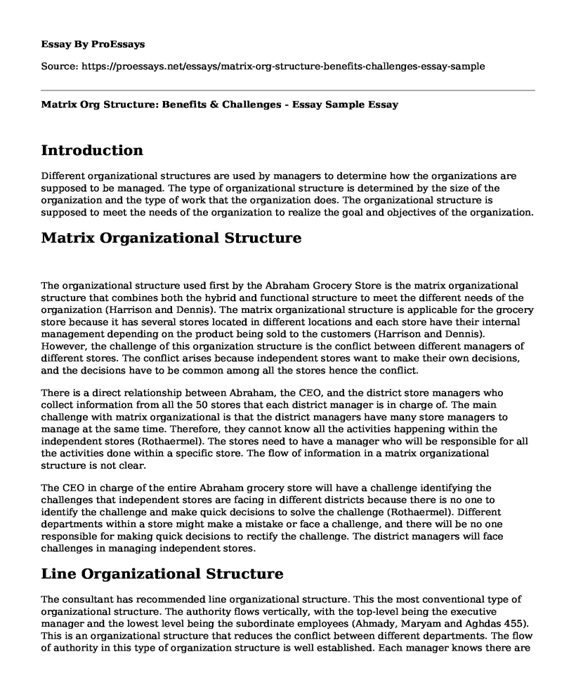 Matrix Org Structure: Benefits & Challenges - Essay Sample