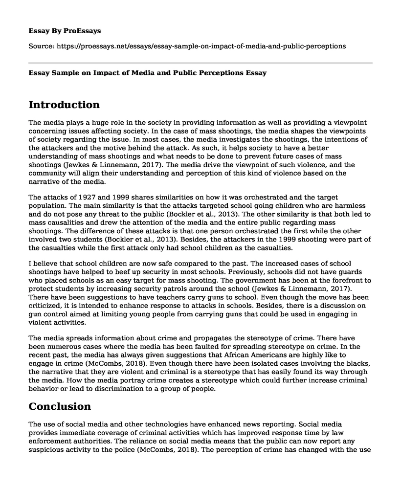 Essay Sample on Impact of Media and Public Perceptions
