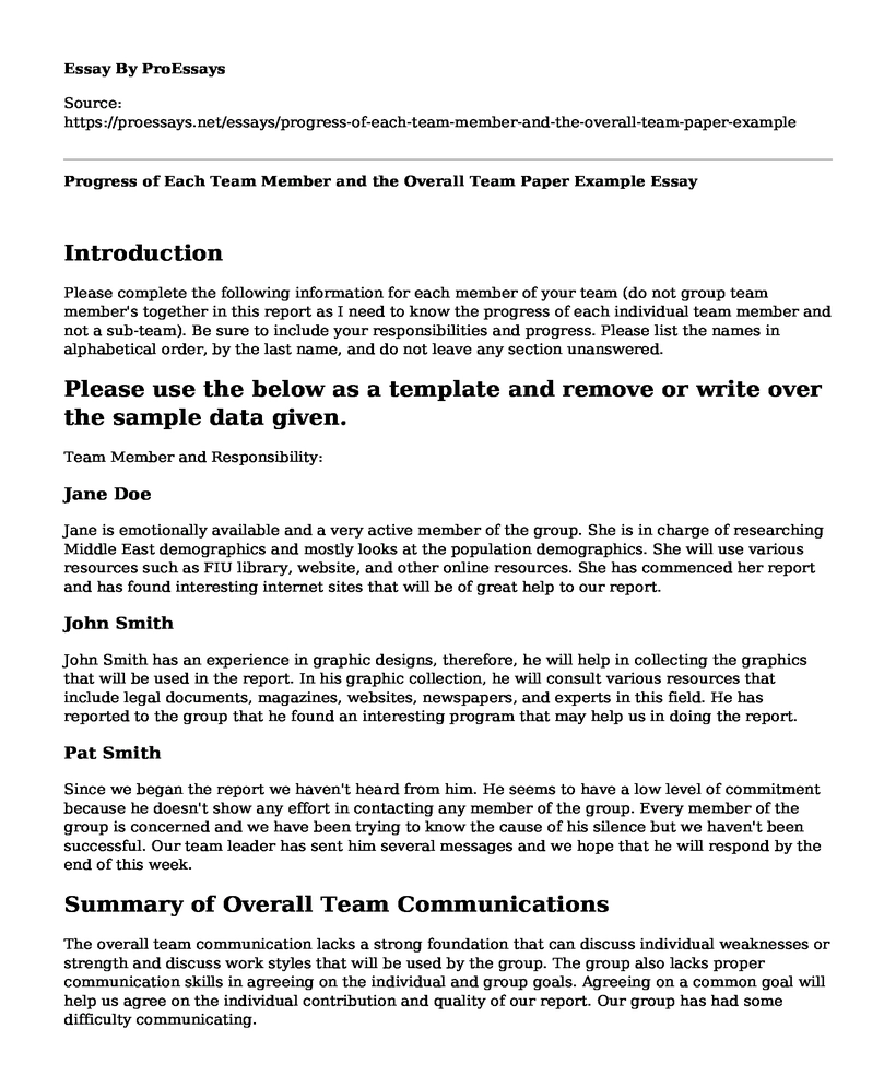  Progress Of Each Team Member And The Overall Team Paper Example 