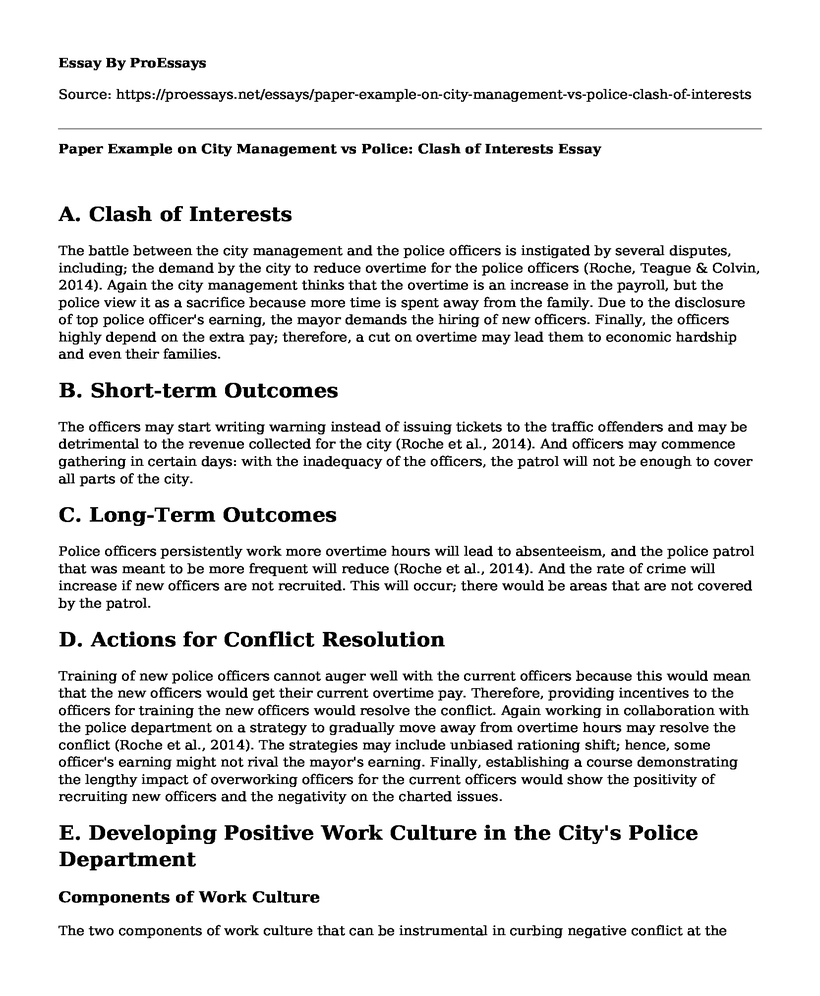 Paper Example on City Management vs Police: Clash of Interests