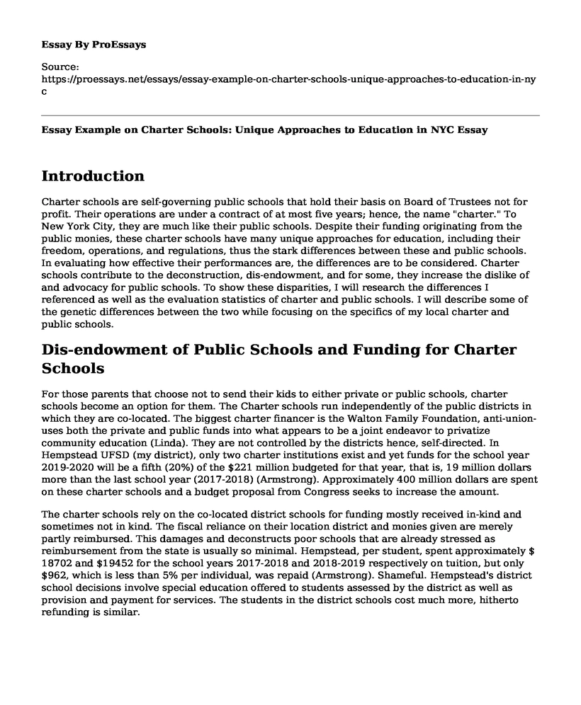 Essay Example on Charter Schools: Unique Approaches to Education in NYC