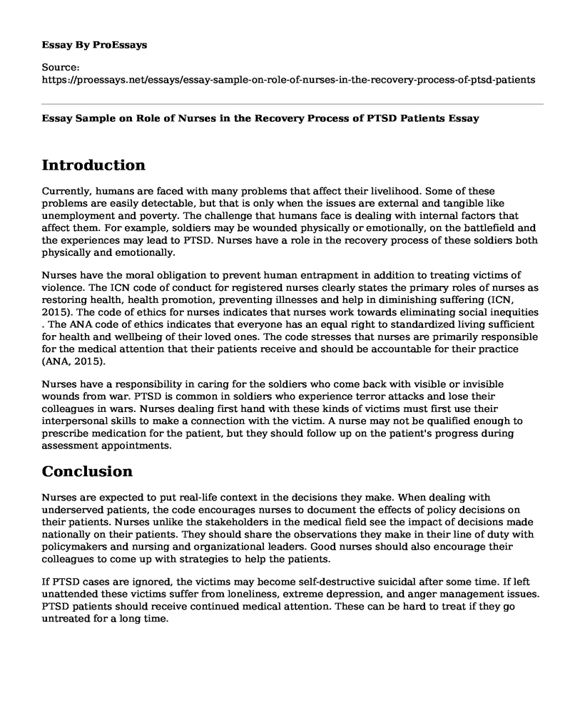 Essay Sample on Role of Nurses in the Recovery Process of PTSD Patients