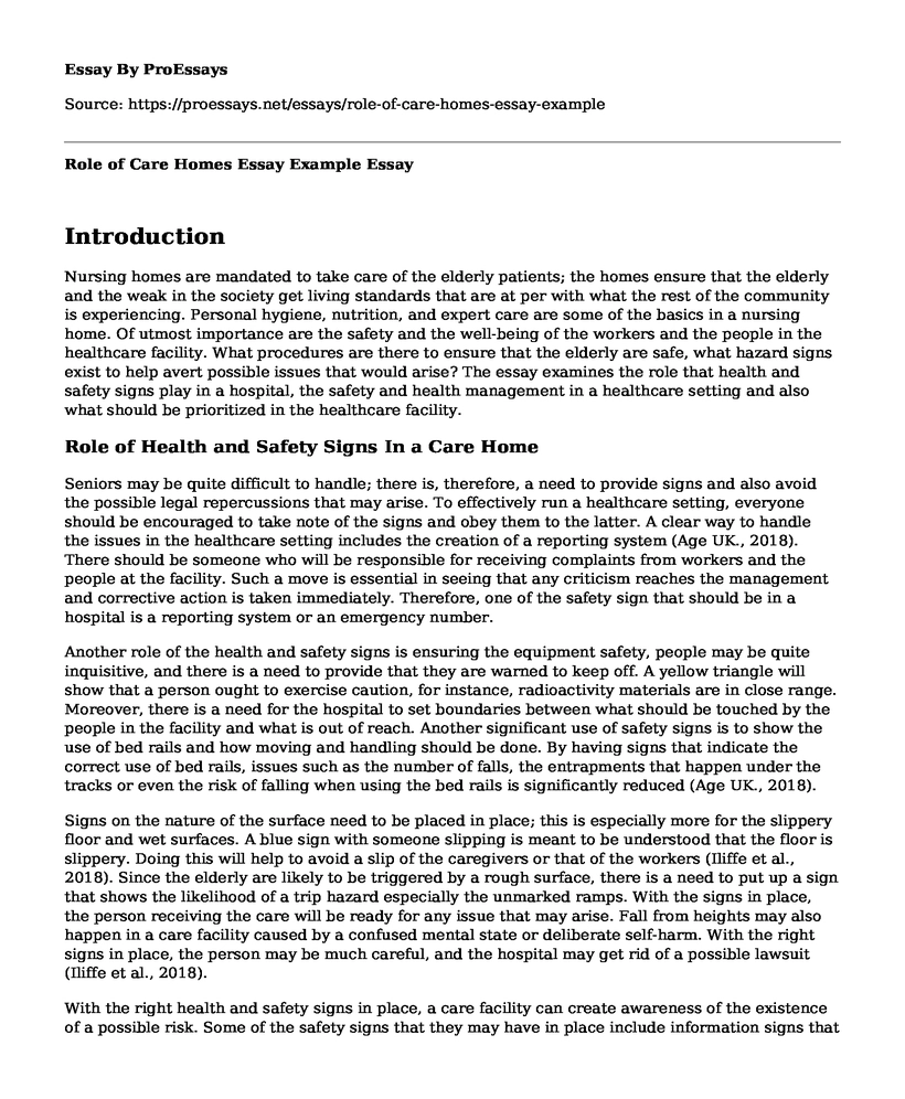 Role of Care Homes Essay Example