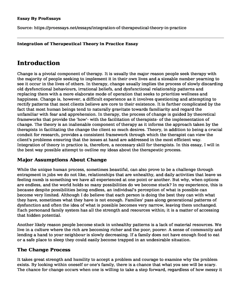 Integration of Therapeutical Theory in Practice