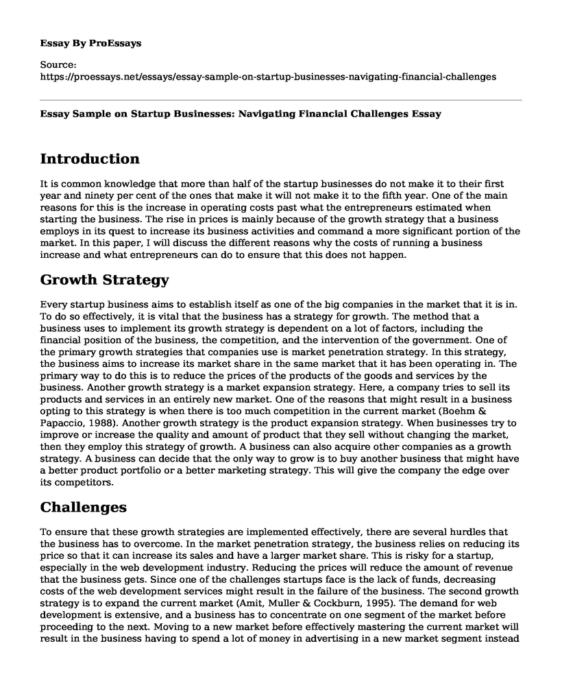 Essay Sample on Startup Businesses: Navigating Financial Challenges