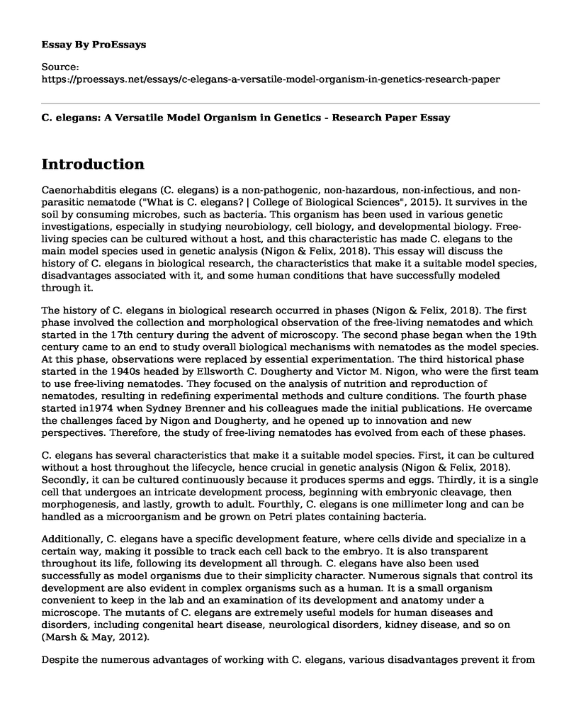 C. elegans: A Versatile Model Organism in Genetics - Research Paper