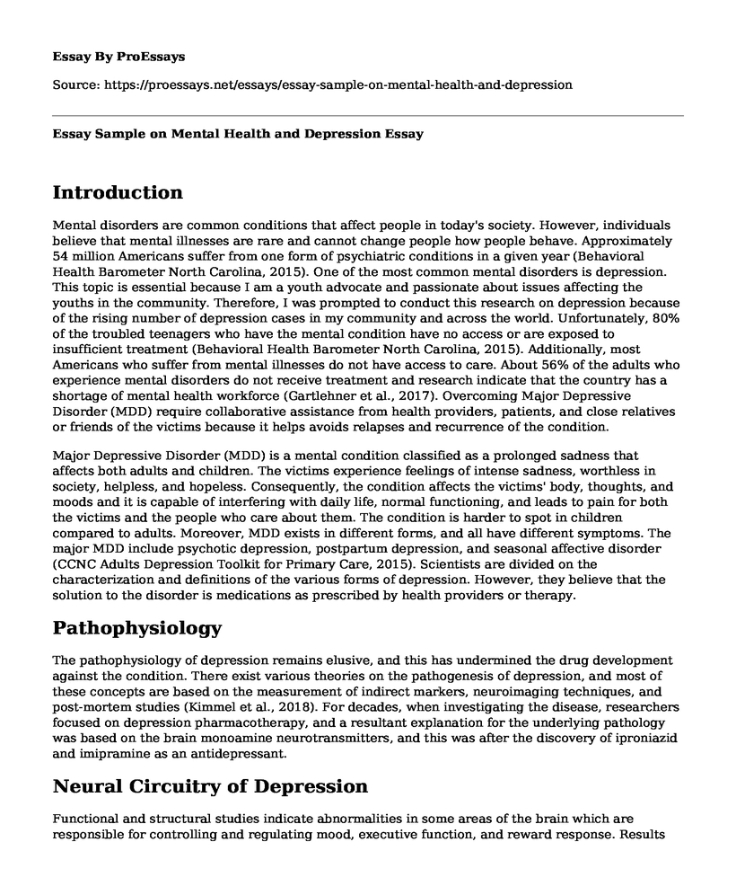 Essay Sample on Mental Health and Depression