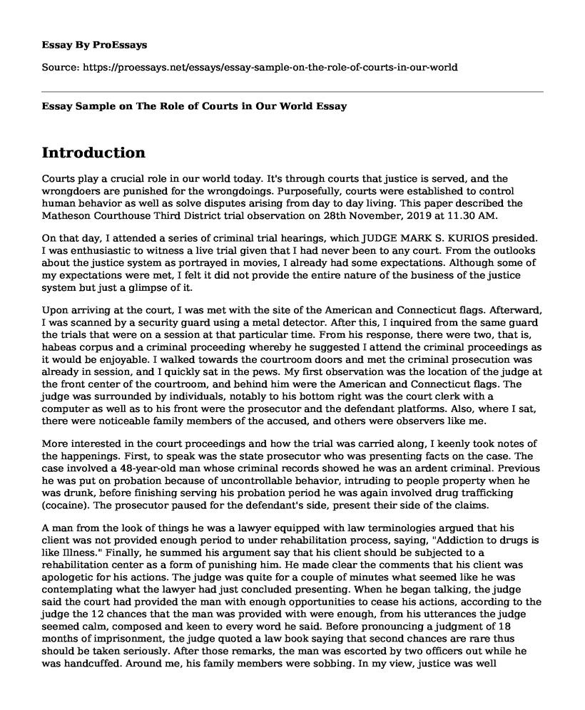 Essay Sample on The Role of Courts in Our World