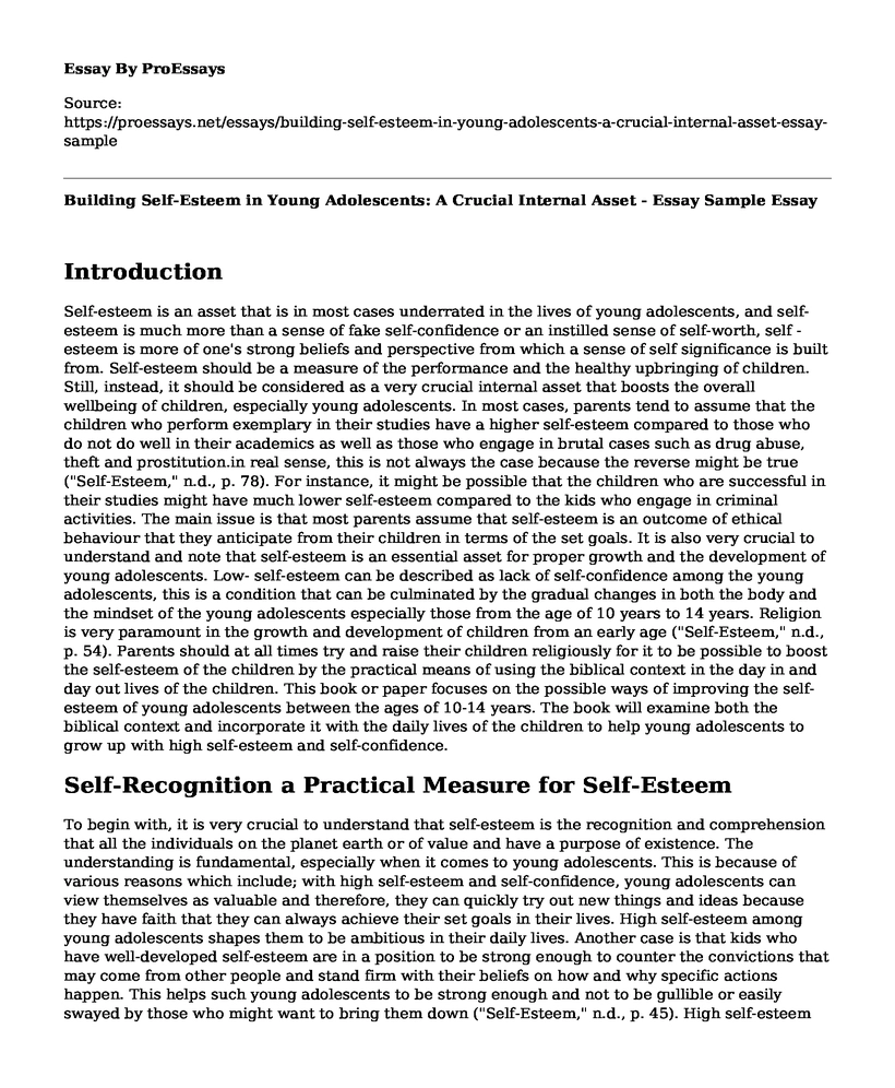 Building Self-Esteem in Young Adolescents: A Crucial Internal Asset - Essay Sample