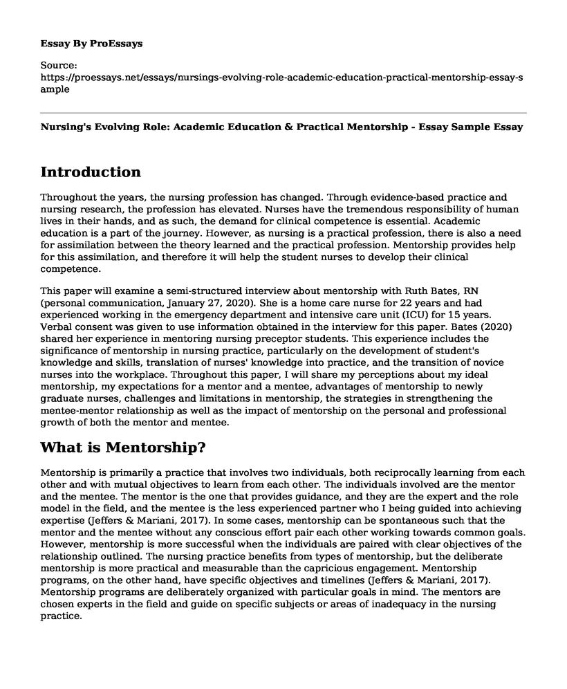 Nursing's Evolving Role: Academic Education & Practical Mentorship - Essay Sample
