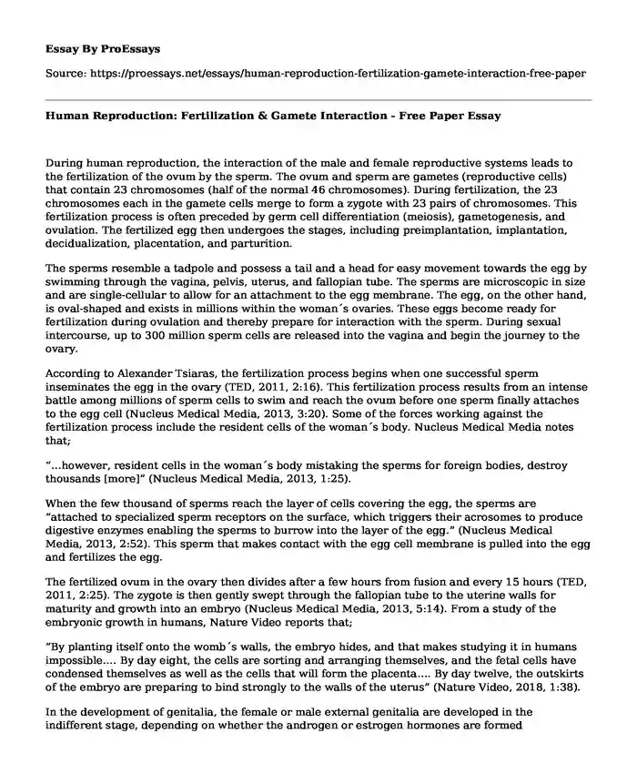 Human Reproduction: Fertilization & Gamete Interaction - Free Paper
