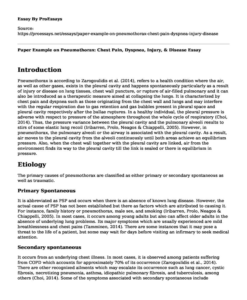 Paper Example on Pneumothorax: Chest Pain, Dyspnea, Injury, & Disease