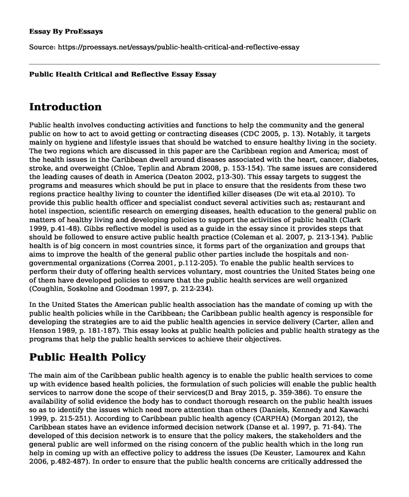 Public Health Critical and Reflective Essay
