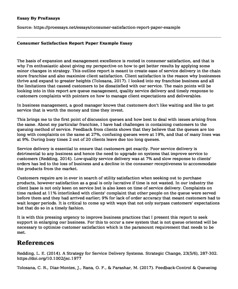 Consumer Satisfaction Report Paper Example