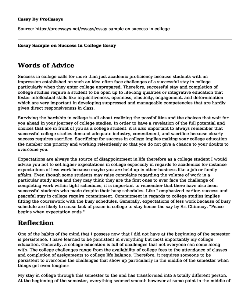 Essay Sample on Success in College