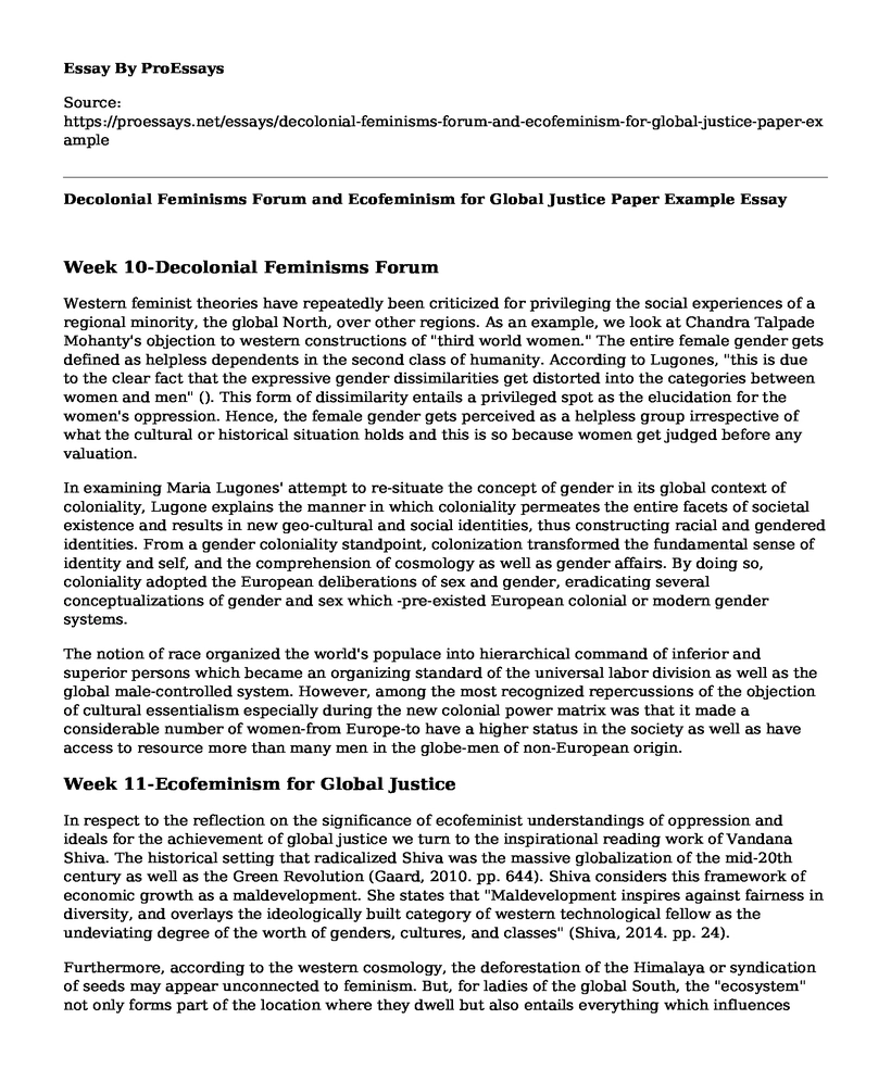 Decolonial Feminisms Forum and Ecofeminism for Global Justice Paper Example