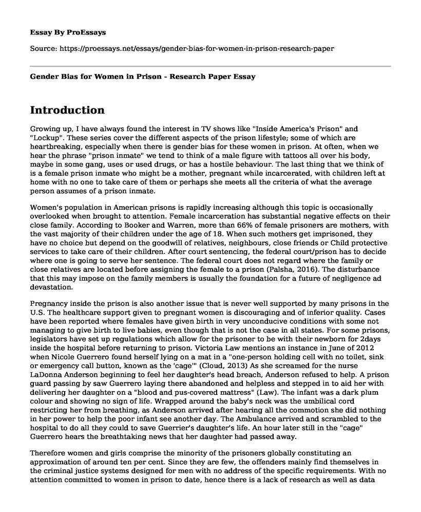 Gender Bias for Women in Prison - Research Paper 