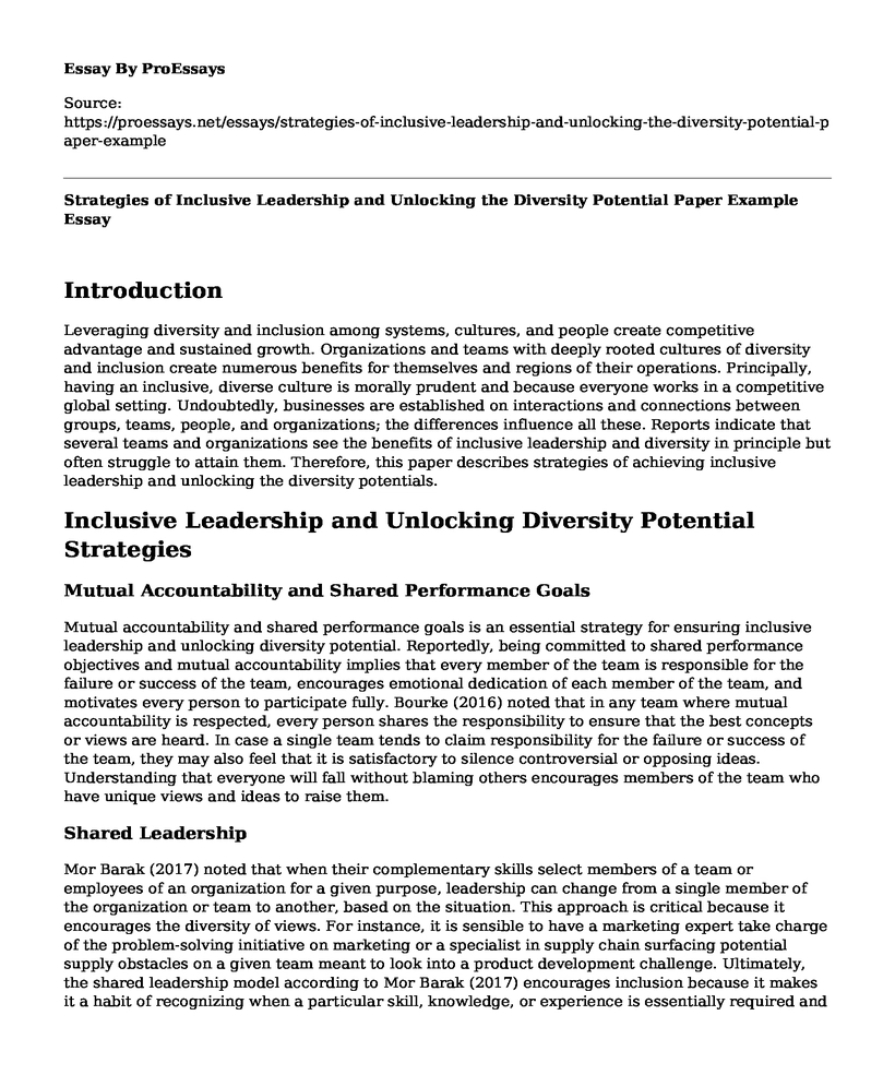 Strategies of Inclusive Leadership and Unlocking the Diversity Potential Paper Example