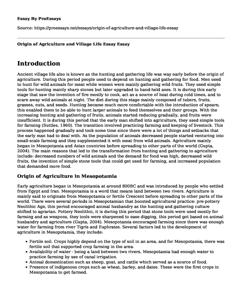 Origin of Agriculture and Village Life Essay