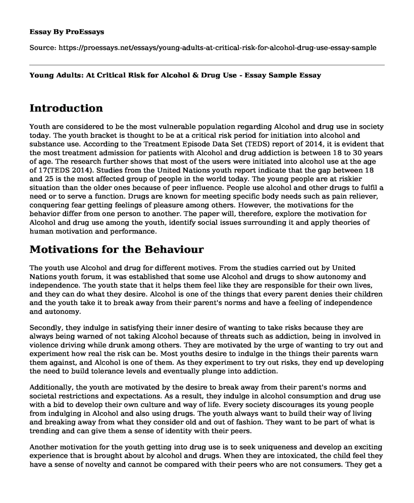 Young Adults: At Critical Risk for Alcohol & Drug Use - Essay Sample