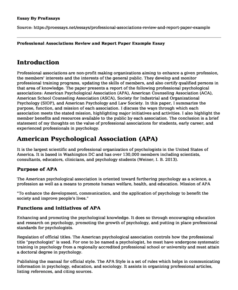 Professional Associations Review and Report Paper Example