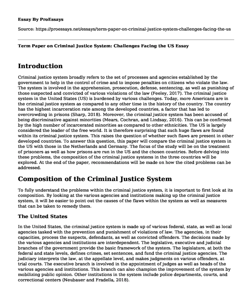 Term Paper on Criminal Justice System: Challenges Facing the US