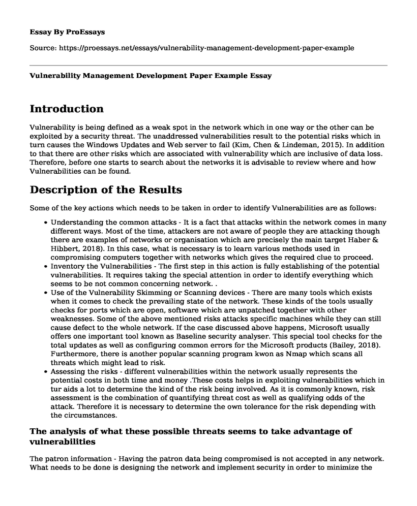 Vulnerability Management Development Paper Example